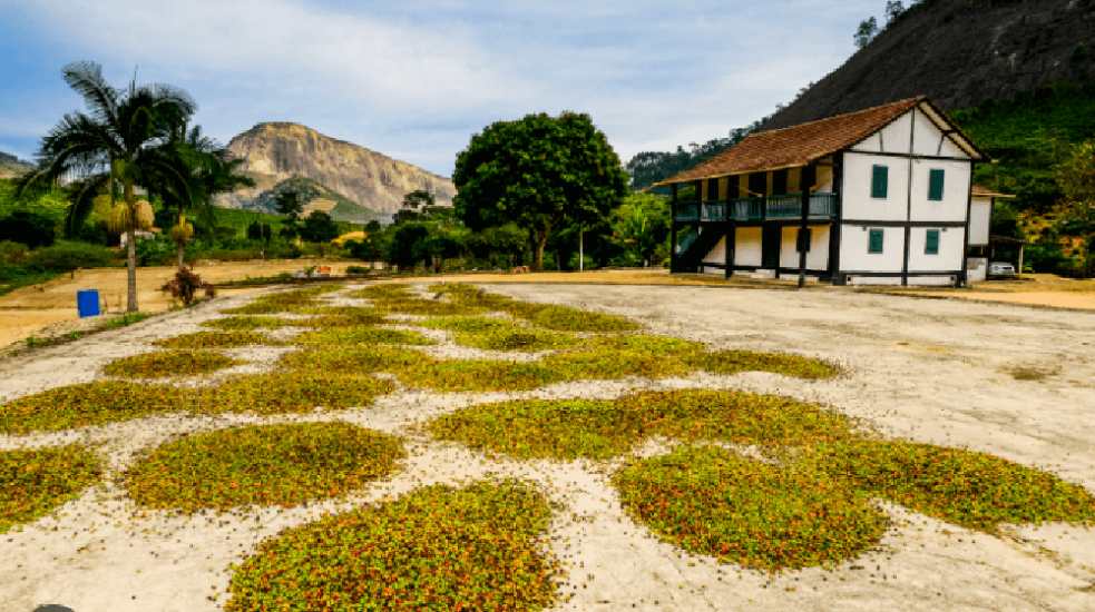 A Efici&ecirc;ncia do Outdoor em Brejetuba com a ES Outdoor: Conectando sua Marca com a Natureza e o P&uacute;blico Local