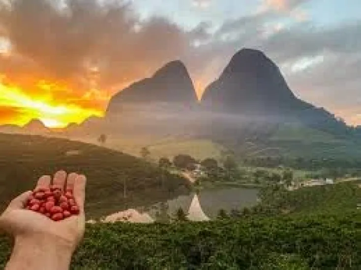 Fa&ccedil;a Sua Campanha de M&iacute;dia OOH nas Principais Cidades Agro do Esp&iacute;rito Santo com a ES Outdoor