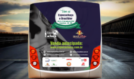 Ponto nº BACKBUS PIÚMA